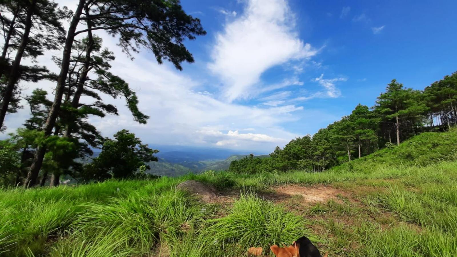 Hills Abode Homestay Shillong