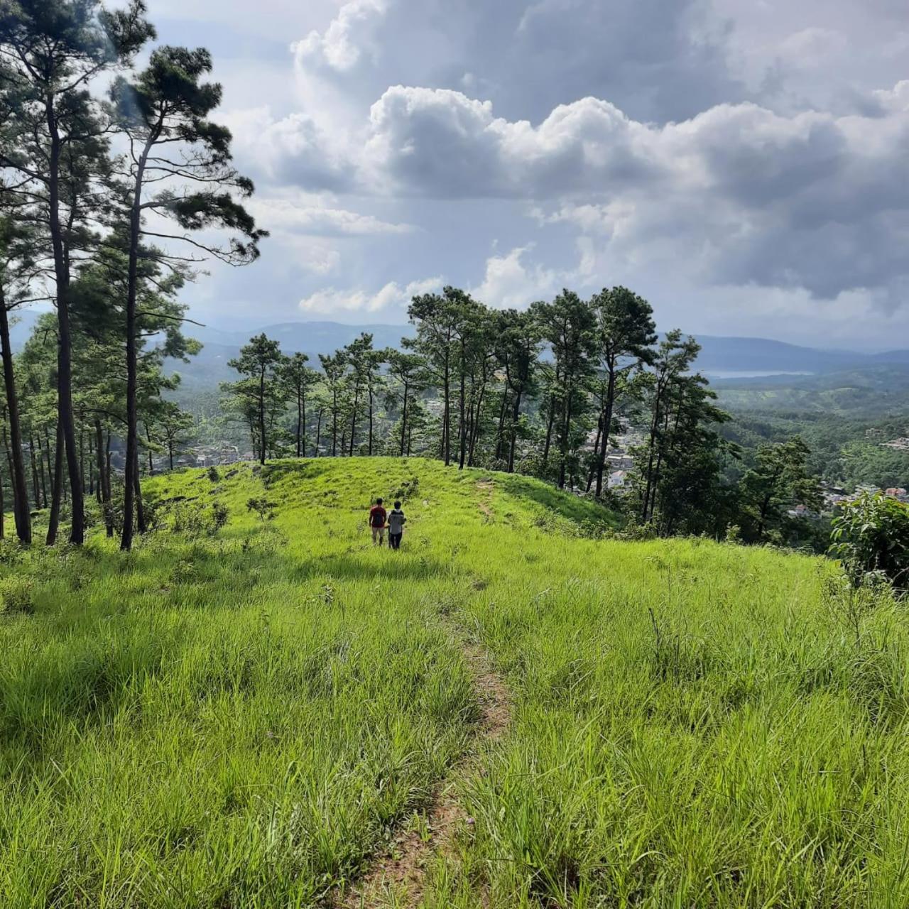 Hills Abode Homestay Shillong