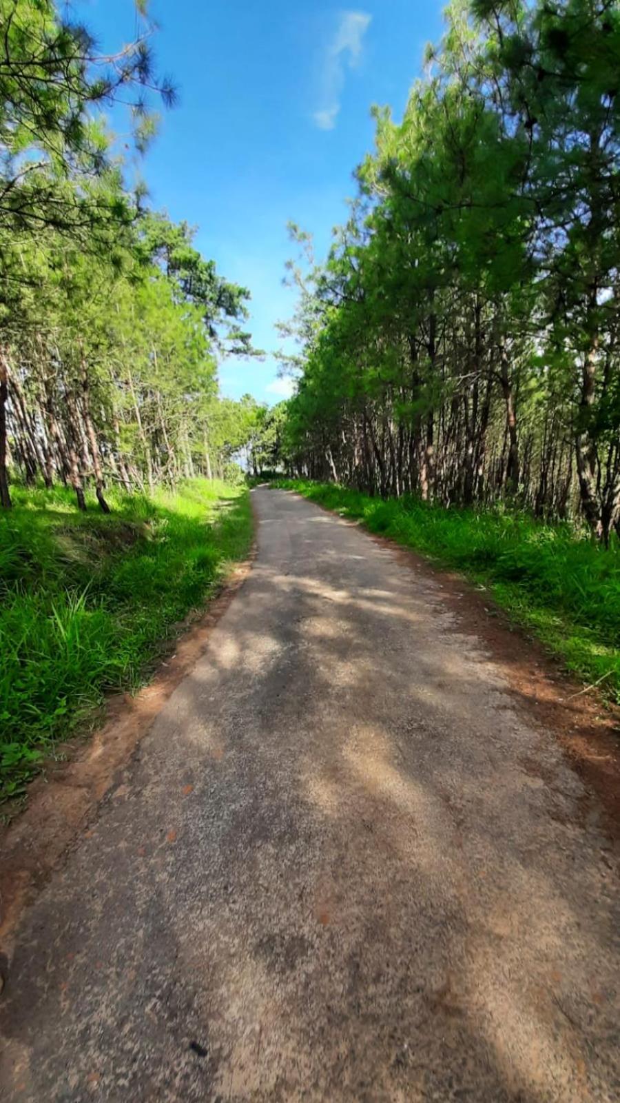 Hills Abode Homestay Shillong