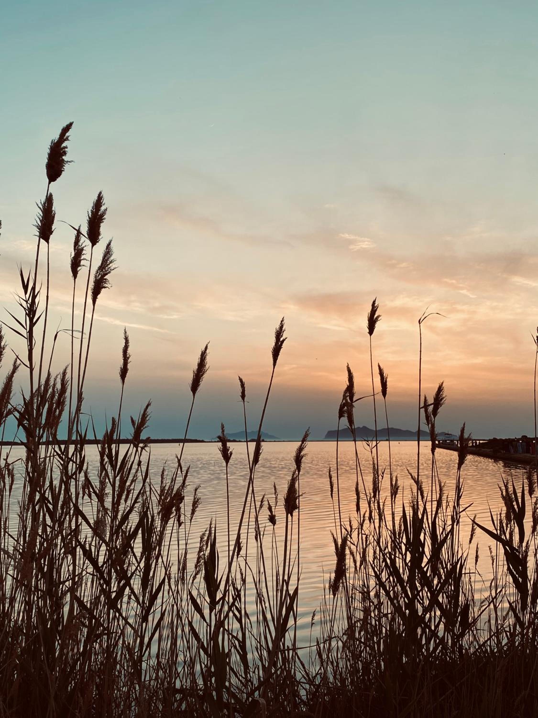 Vento e salsedine en Marsala