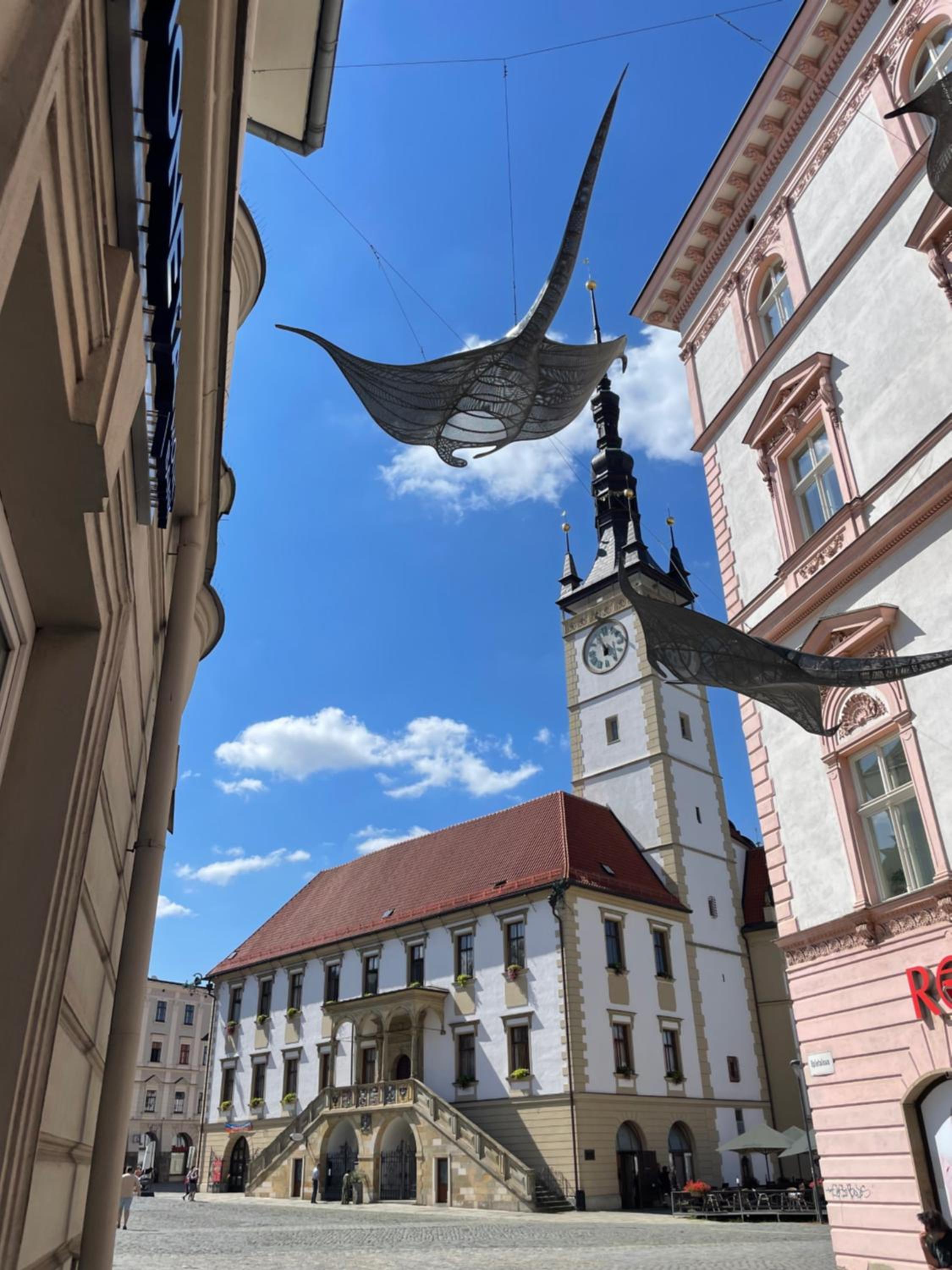 Chata Olomouc Tovéř