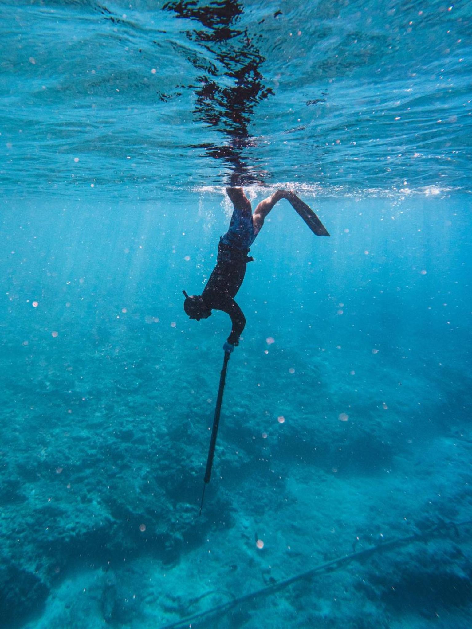 Kinakamo Lodge et Activités Rangiroa