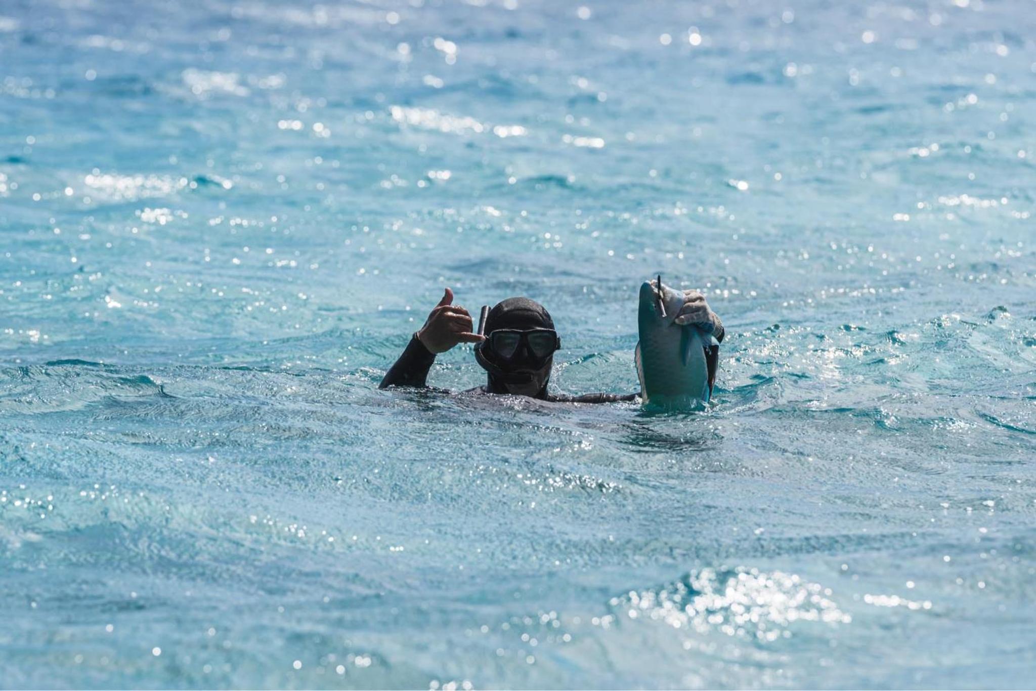 Kinakamo Lodge et Activités Rangiroa