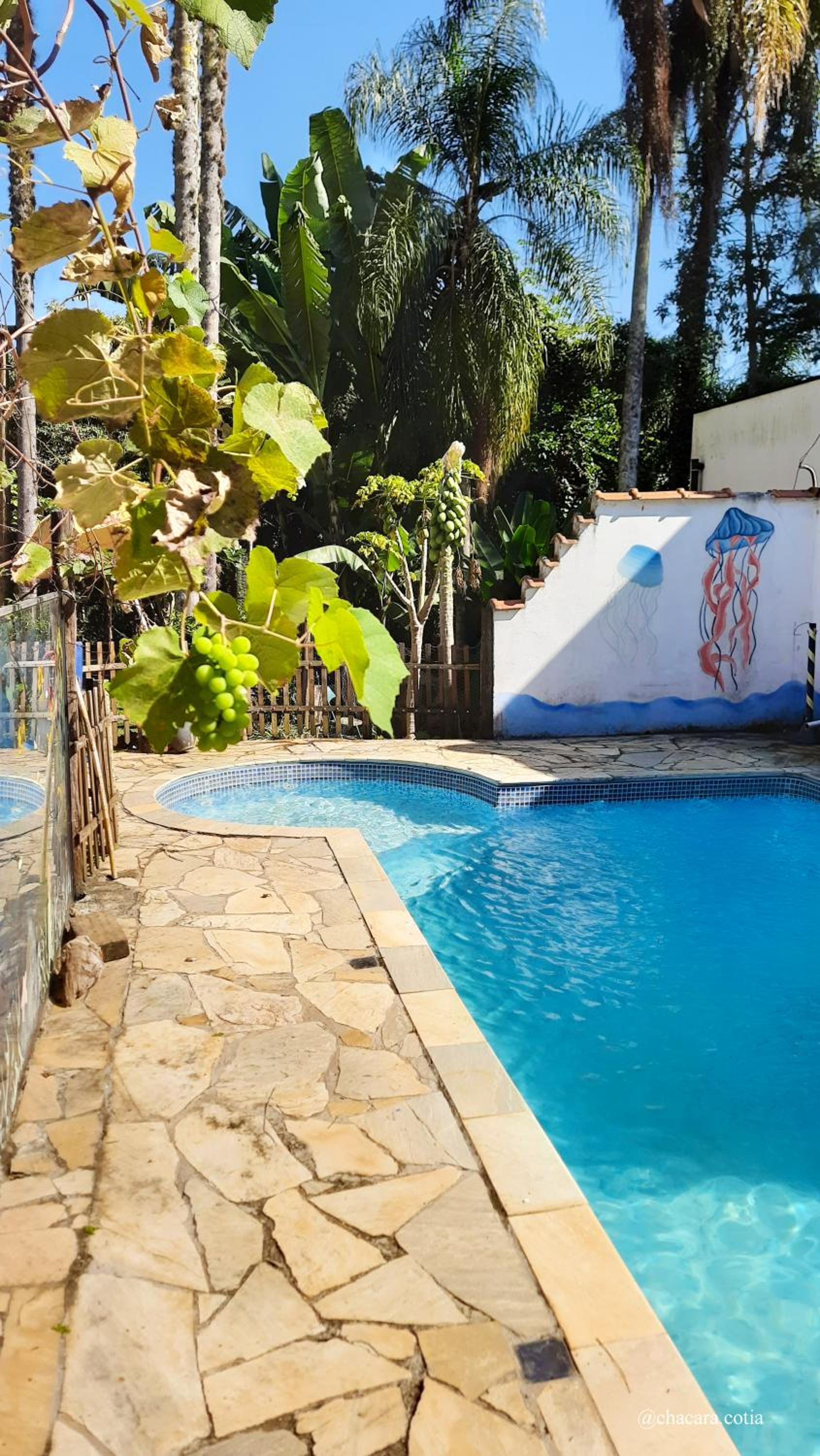 Chácara piscina,lazer em familia e pets