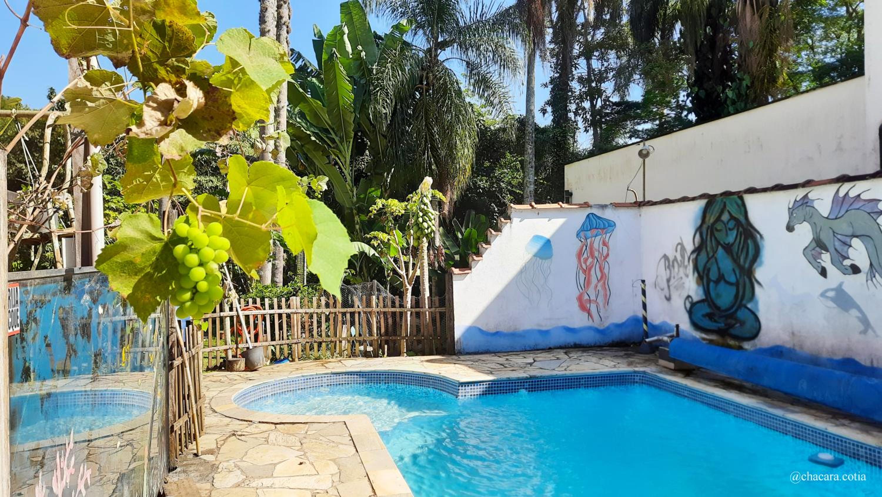 Chácara piscina,lazer em familia e pets