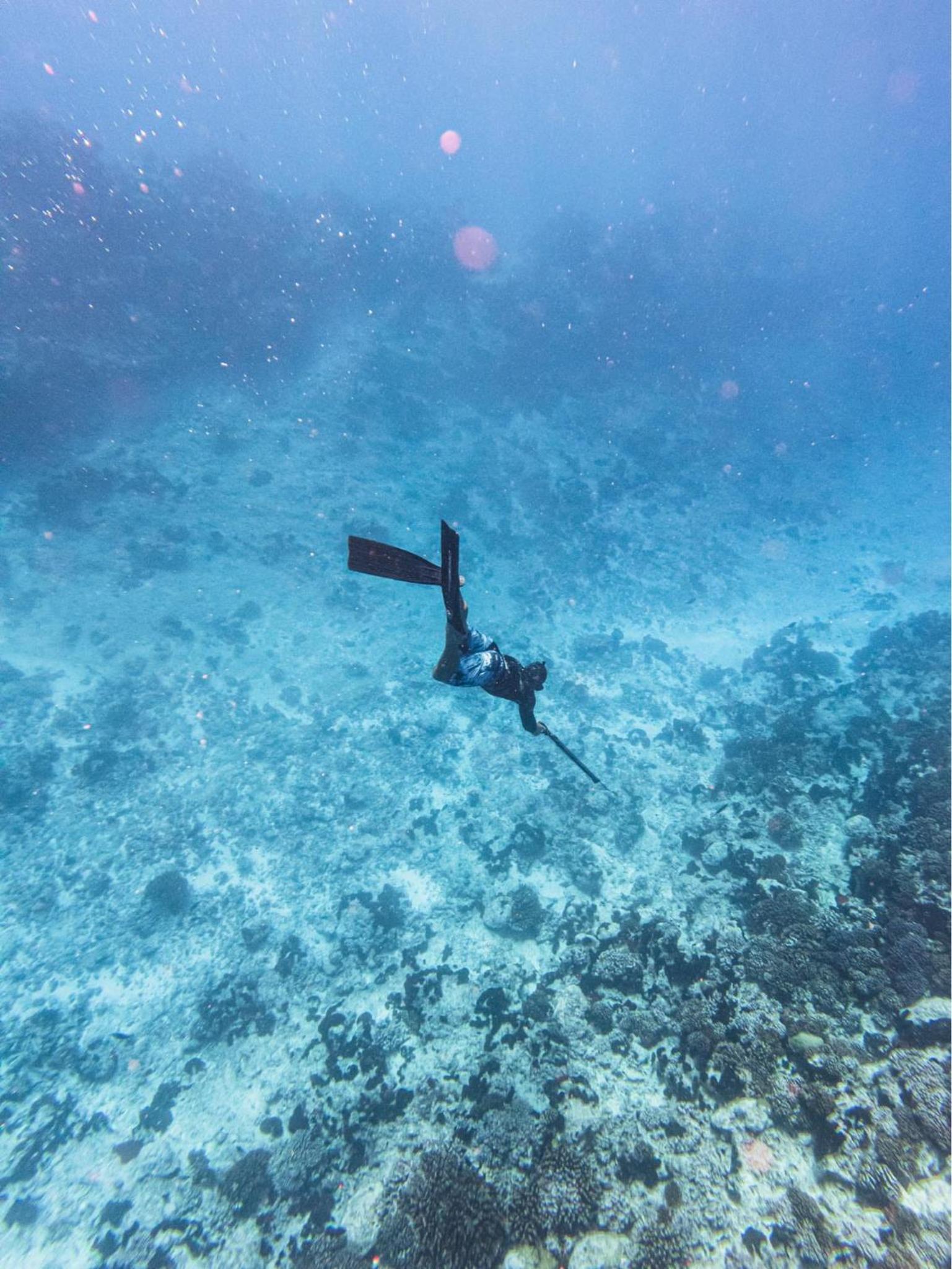 Kinakamo Lodge et Activités Rangiroa