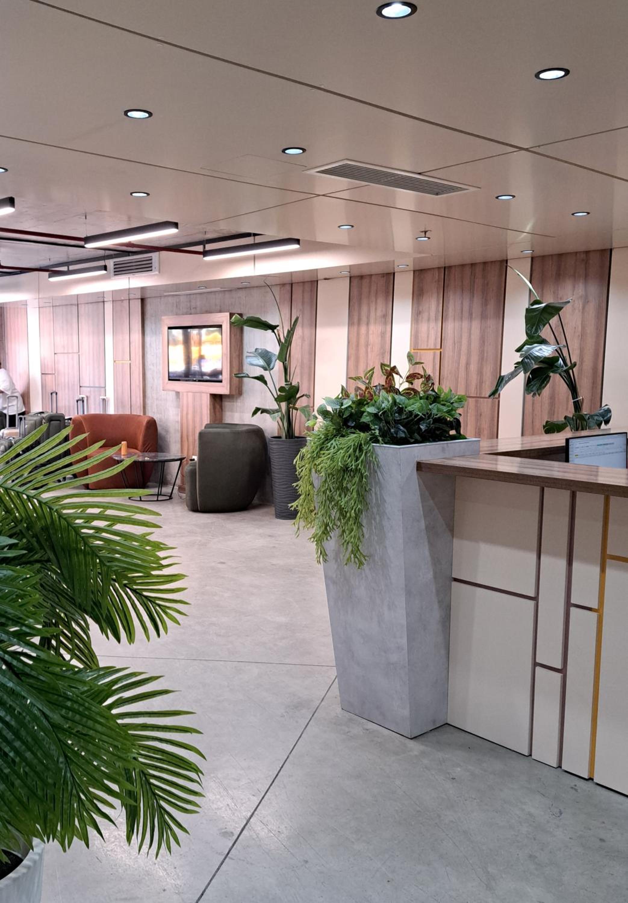 recepcion & lobby