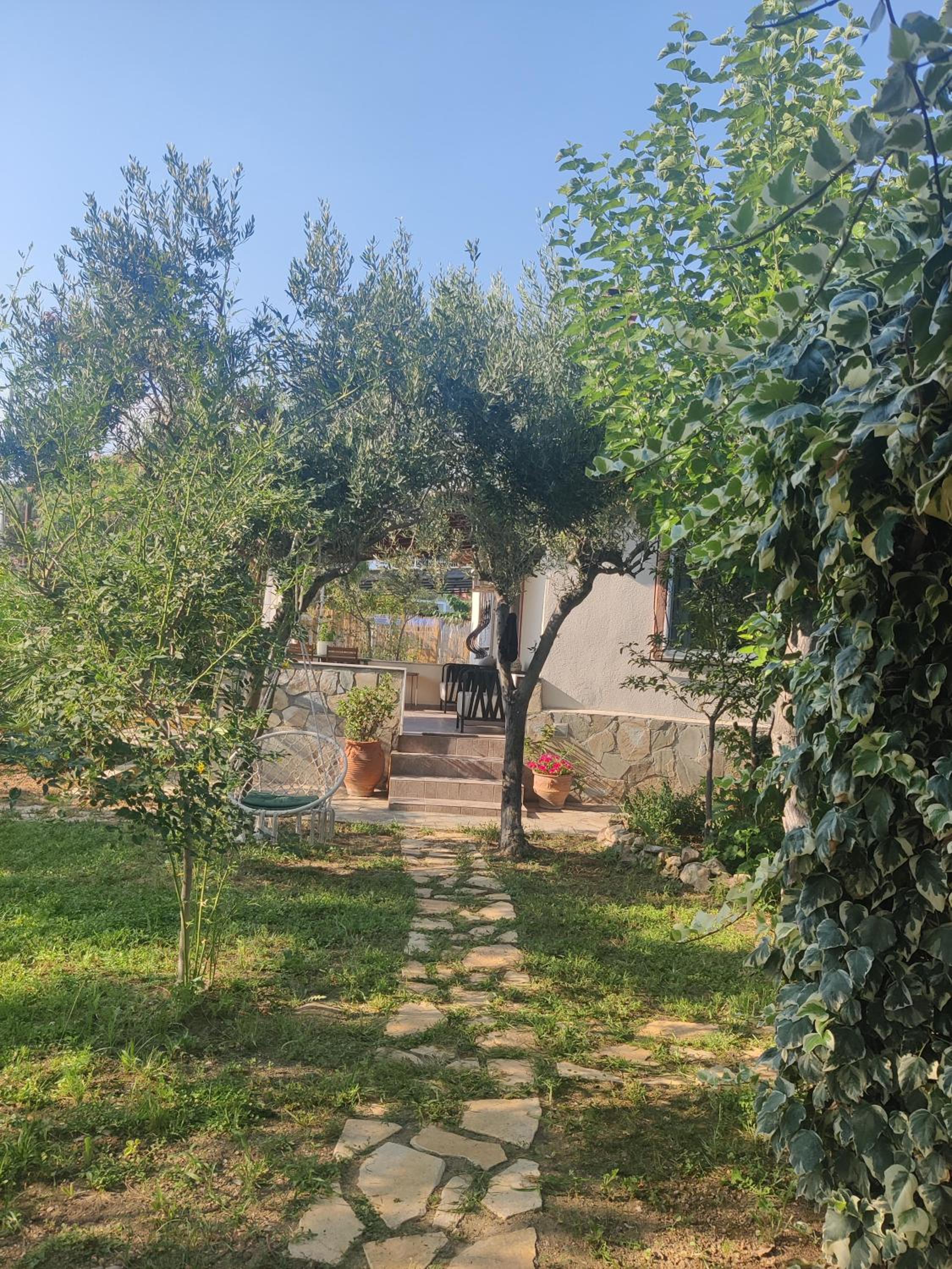 Photo 21
