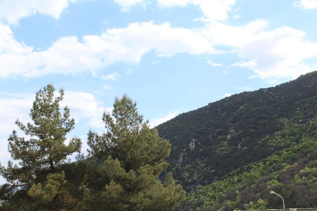 Panos modern country house view 2