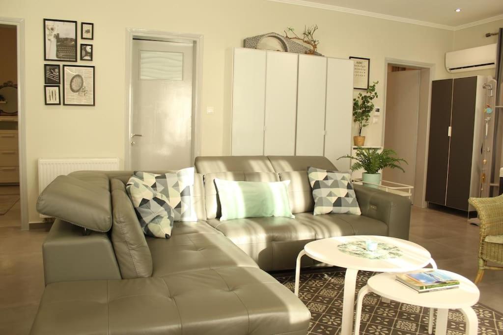 Panos modern country house view 4
