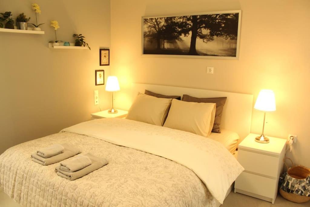 Panos modern country house view 5