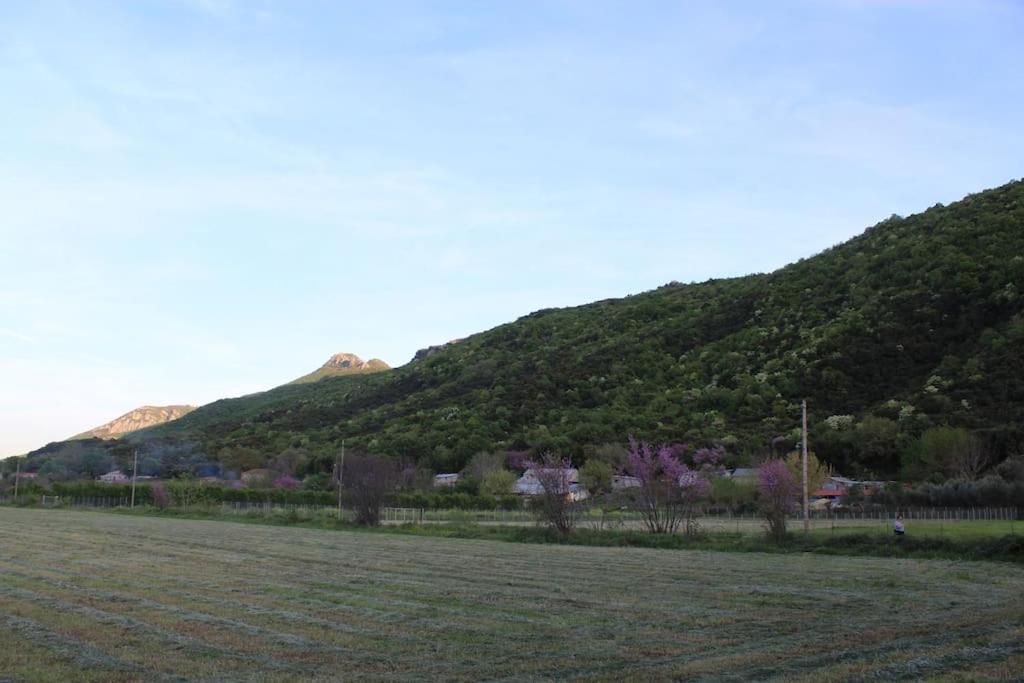 Photo 34
