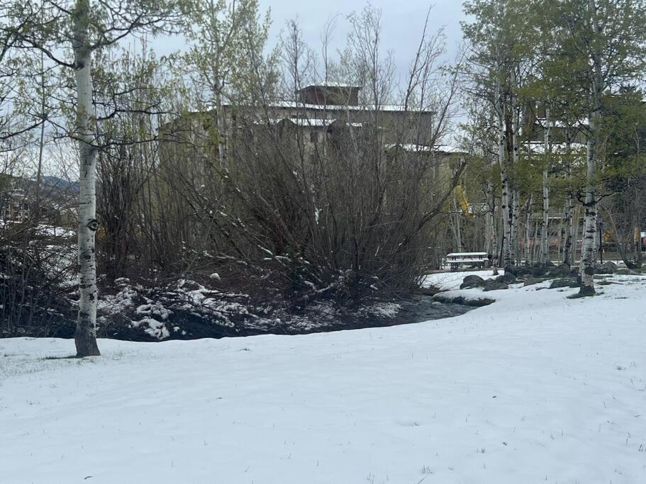 Ski In, Ski Out Cozy Creek Side Cabin w Front Yard view 5