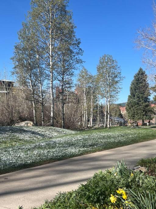 Ski In, Ski Out Cozy Creek Side Cabin w Front Yard view 4