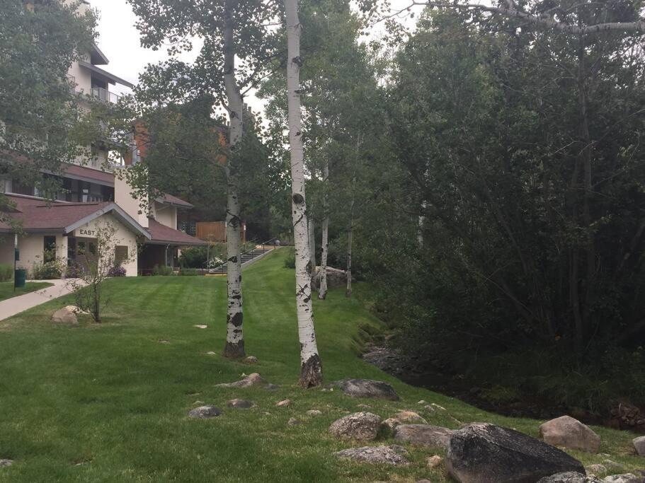 Hotel Ski In, Ski Out Cozy Creek Side Cabin w Front Yard - Image 1