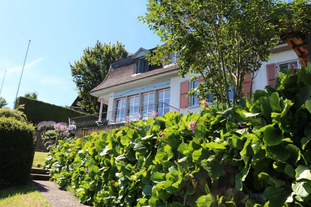 Wunderschöne Villa mit Privatstrand