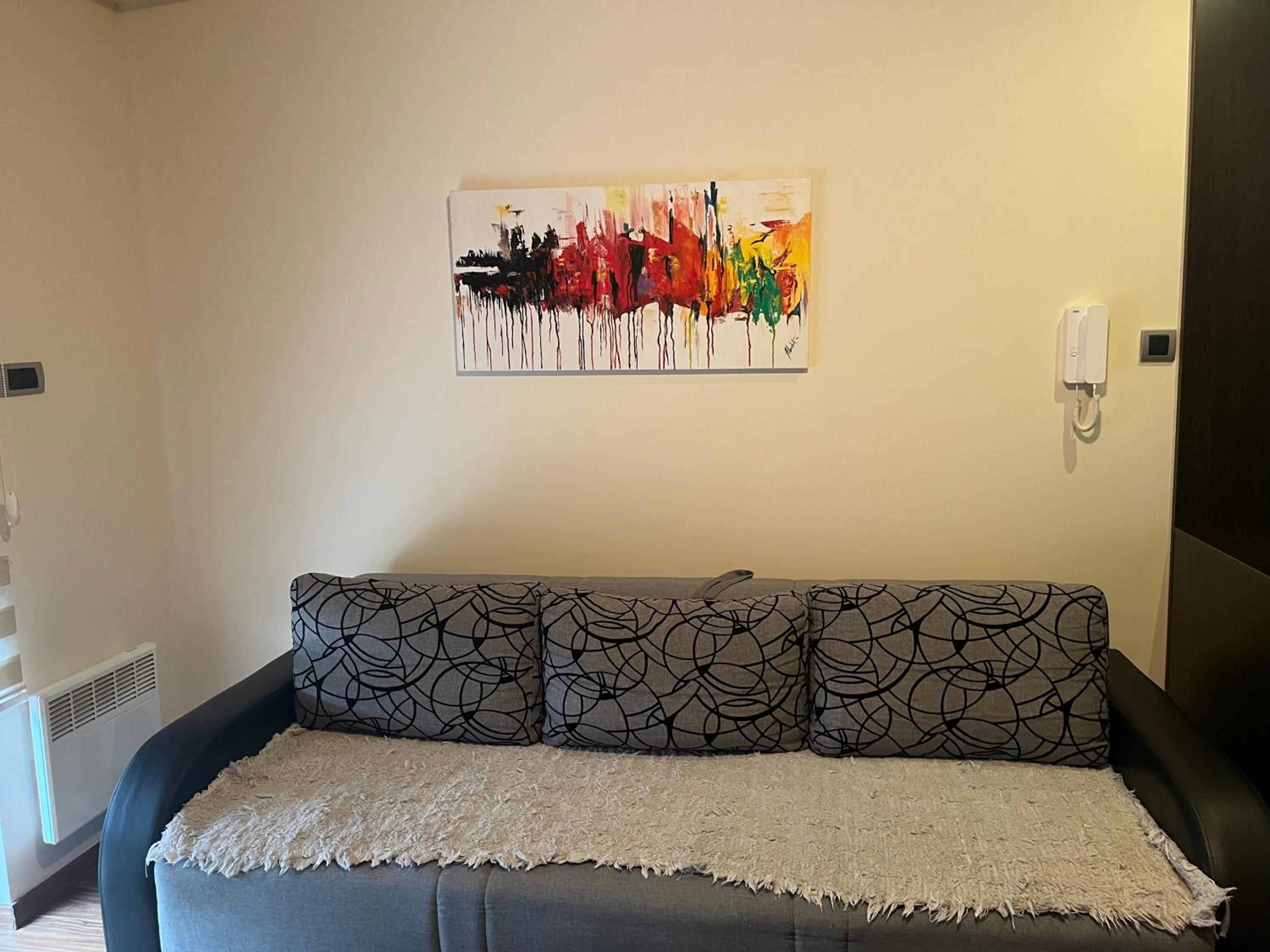 Zlatibor apartman Hana view 5