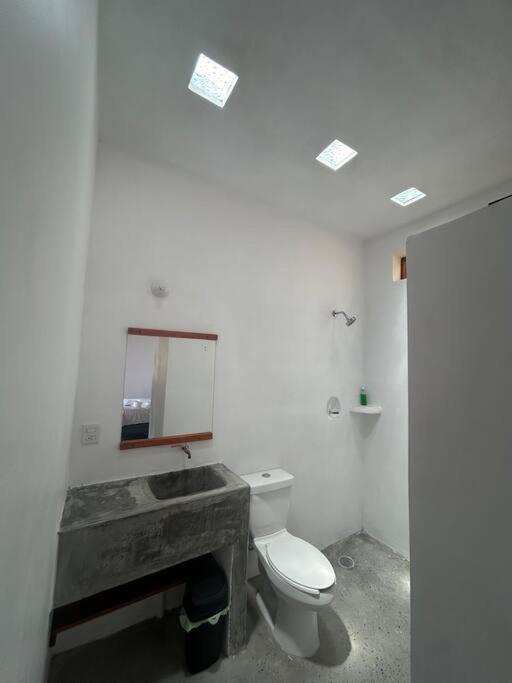 Photo 27
