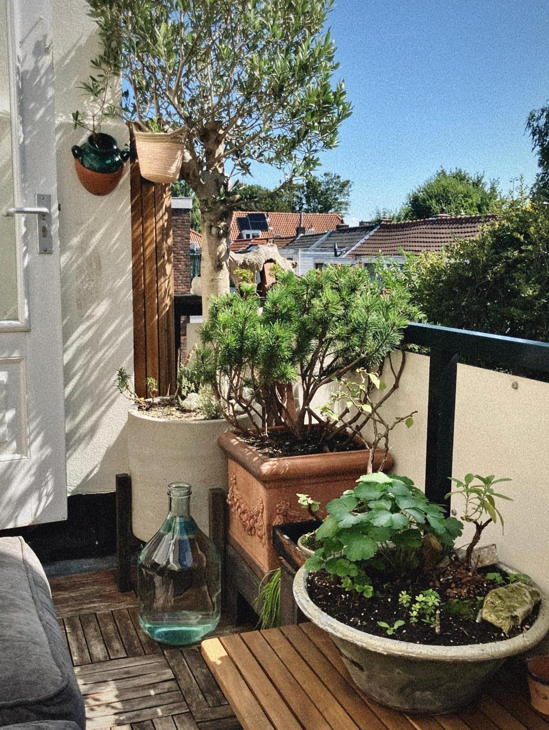 Lovely, 1898 Jugendstil Design Apartment, old Haarlem city Centre, Fully Renovated with Parkview near Amsterdam and Zandvoort, Bloemendaal Beach view 3