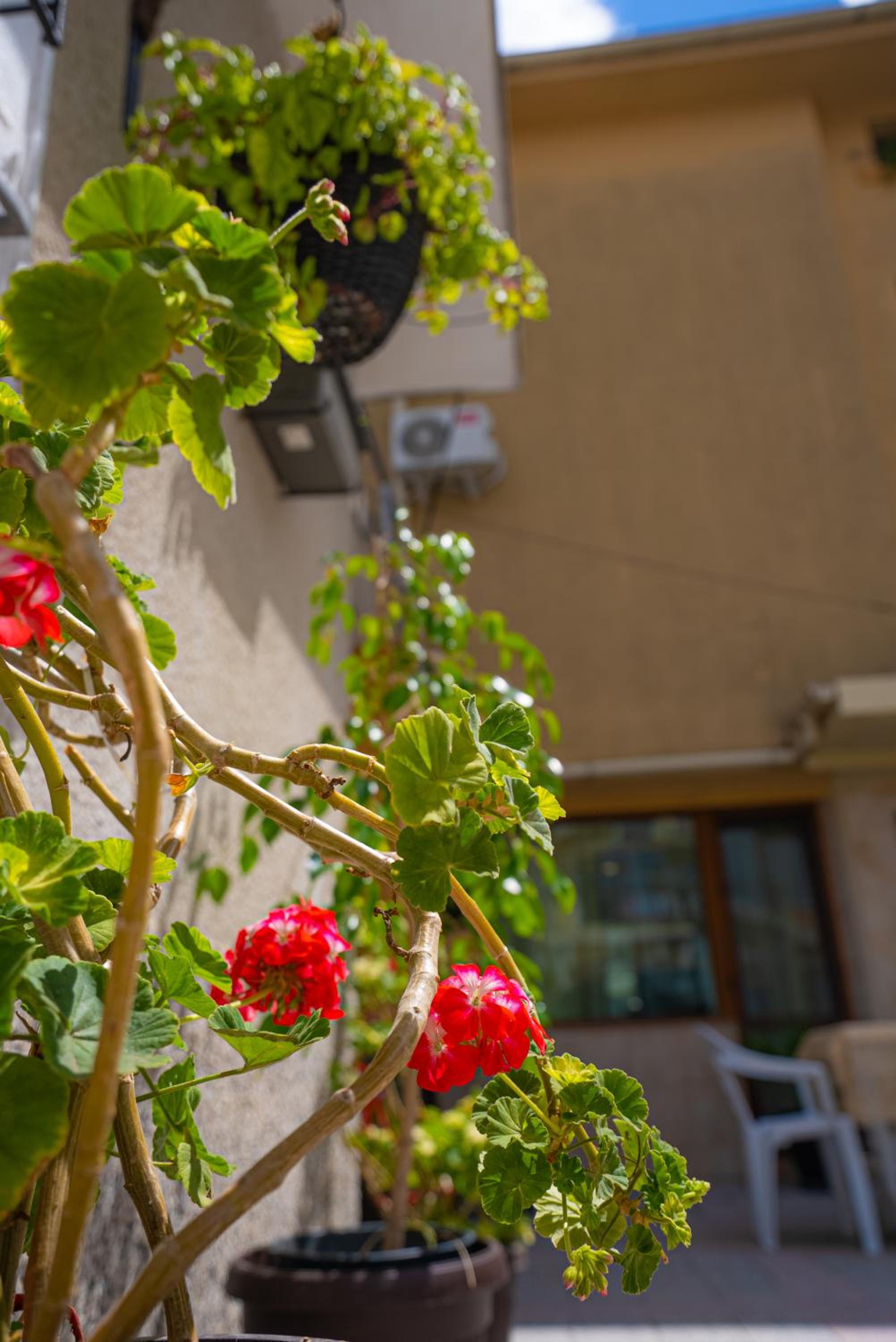 AR Luxury VIP Apartments Ravda
