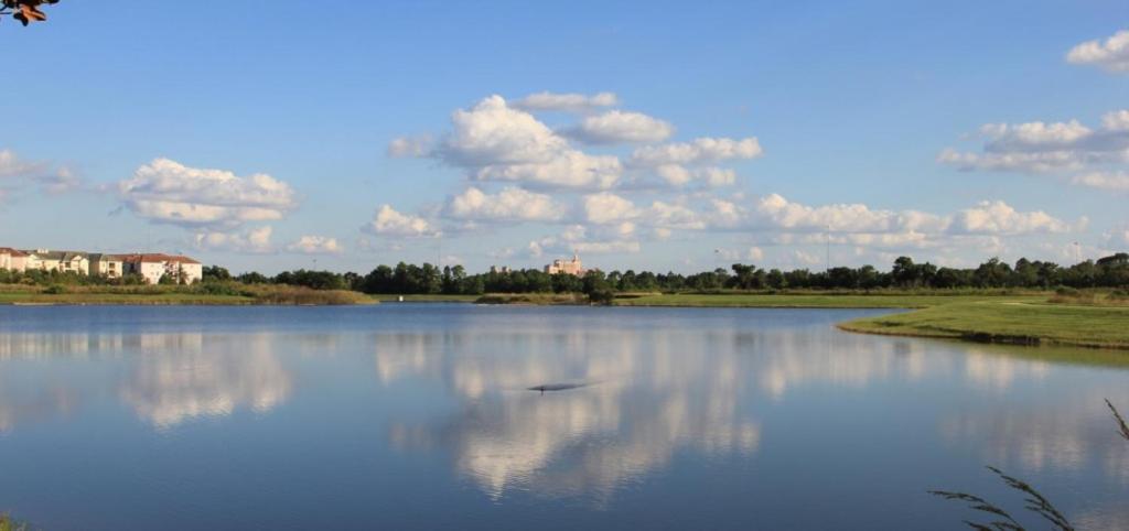 Vista Cay Luxury Harmony Near all Theme Parks, and walk to the Convention Center
