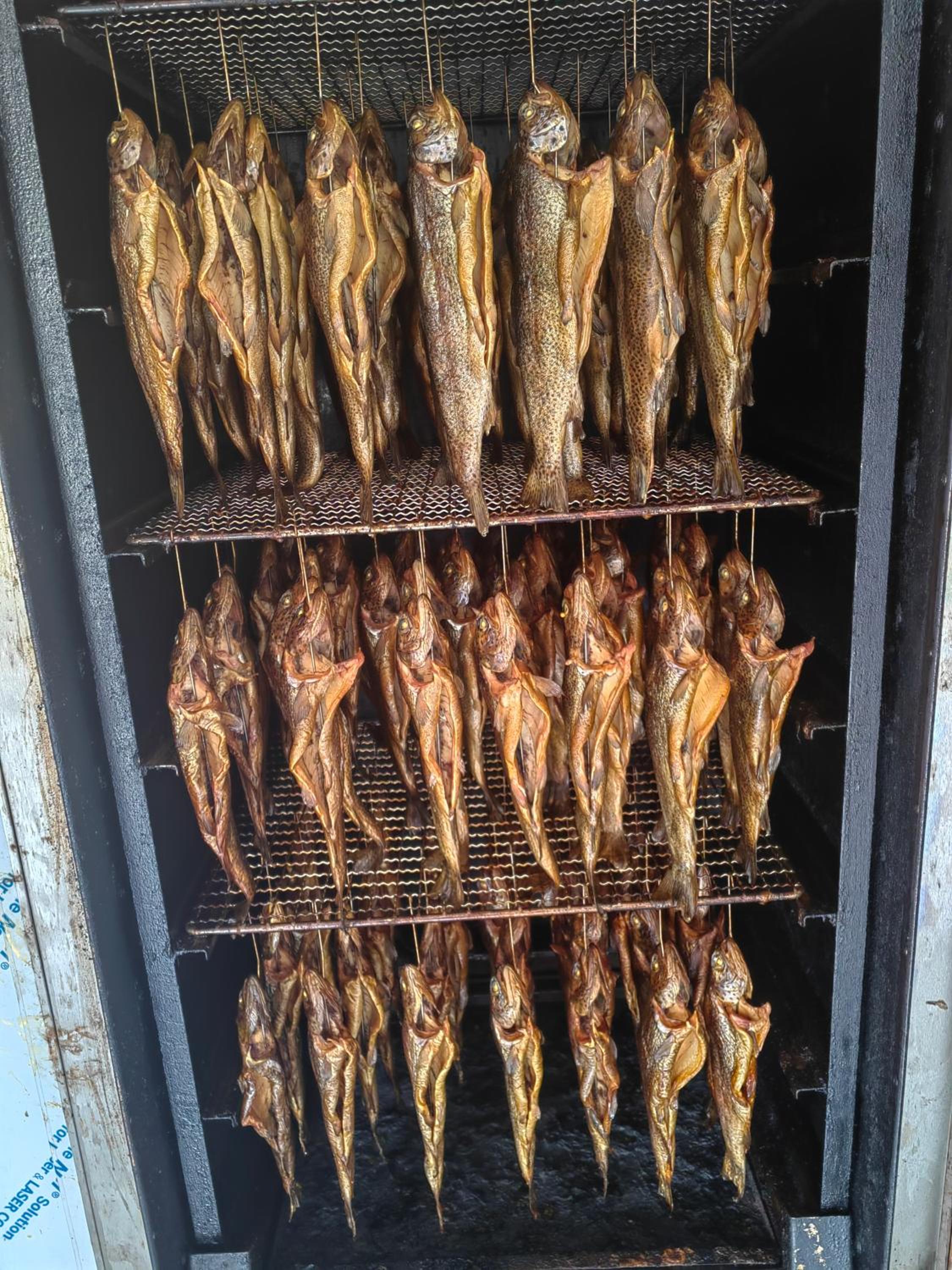Pensiunea Pastravaria Vistisoara