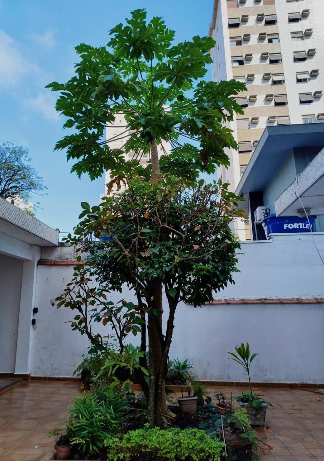 Casa espaçosa pertinho da praia