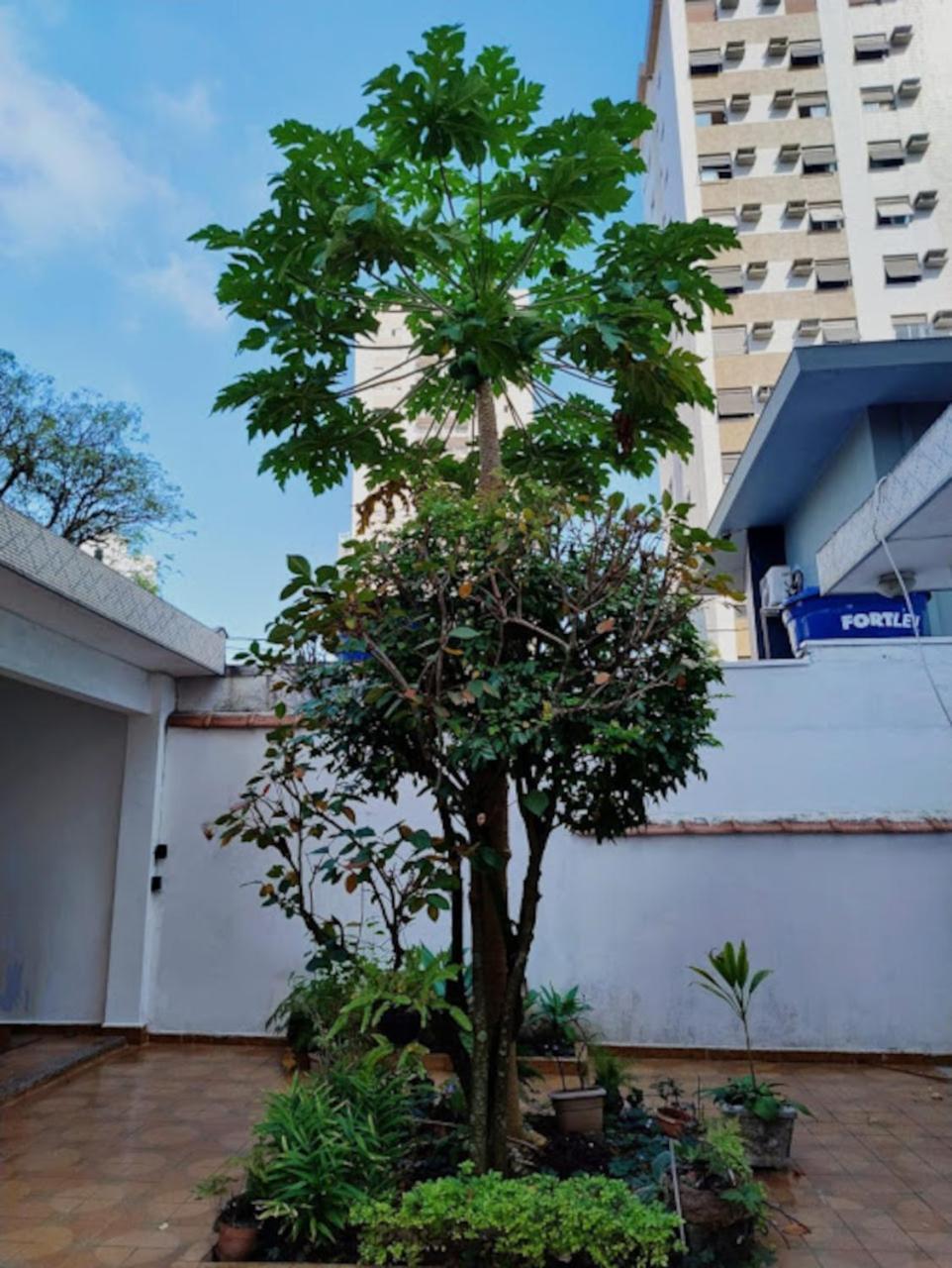 Casa espaçosa pertinho da praia