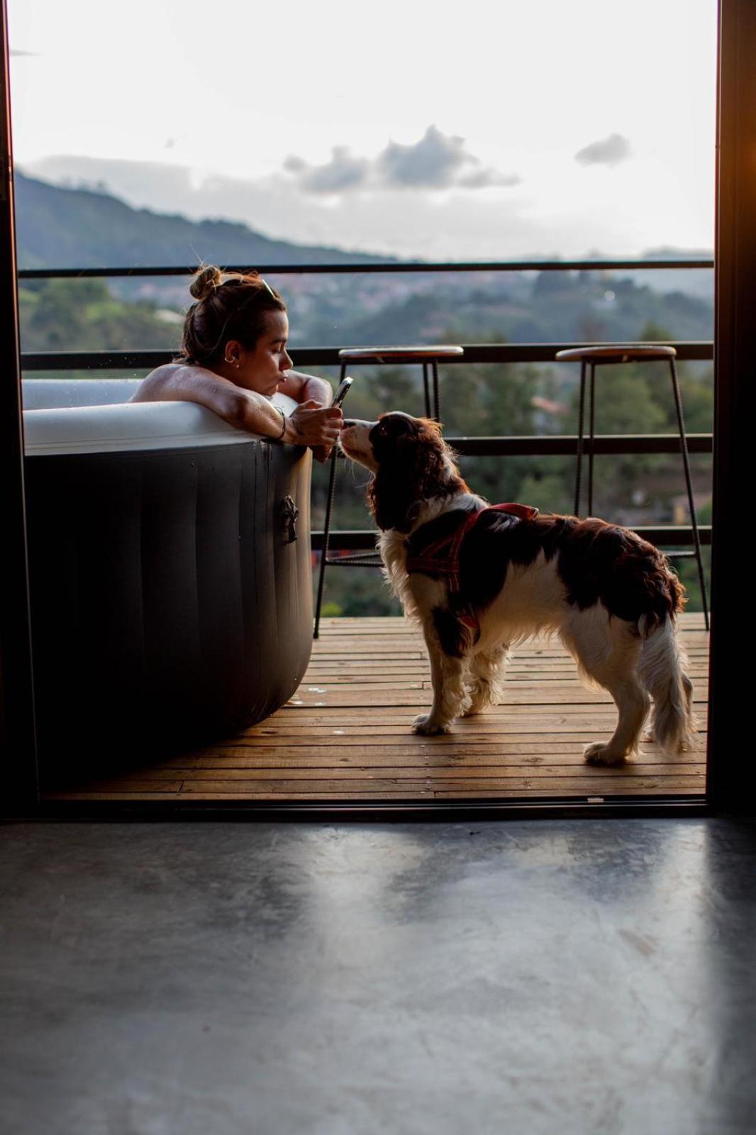 Eco Lodge Glamping