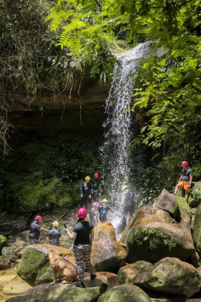 Ixora travel