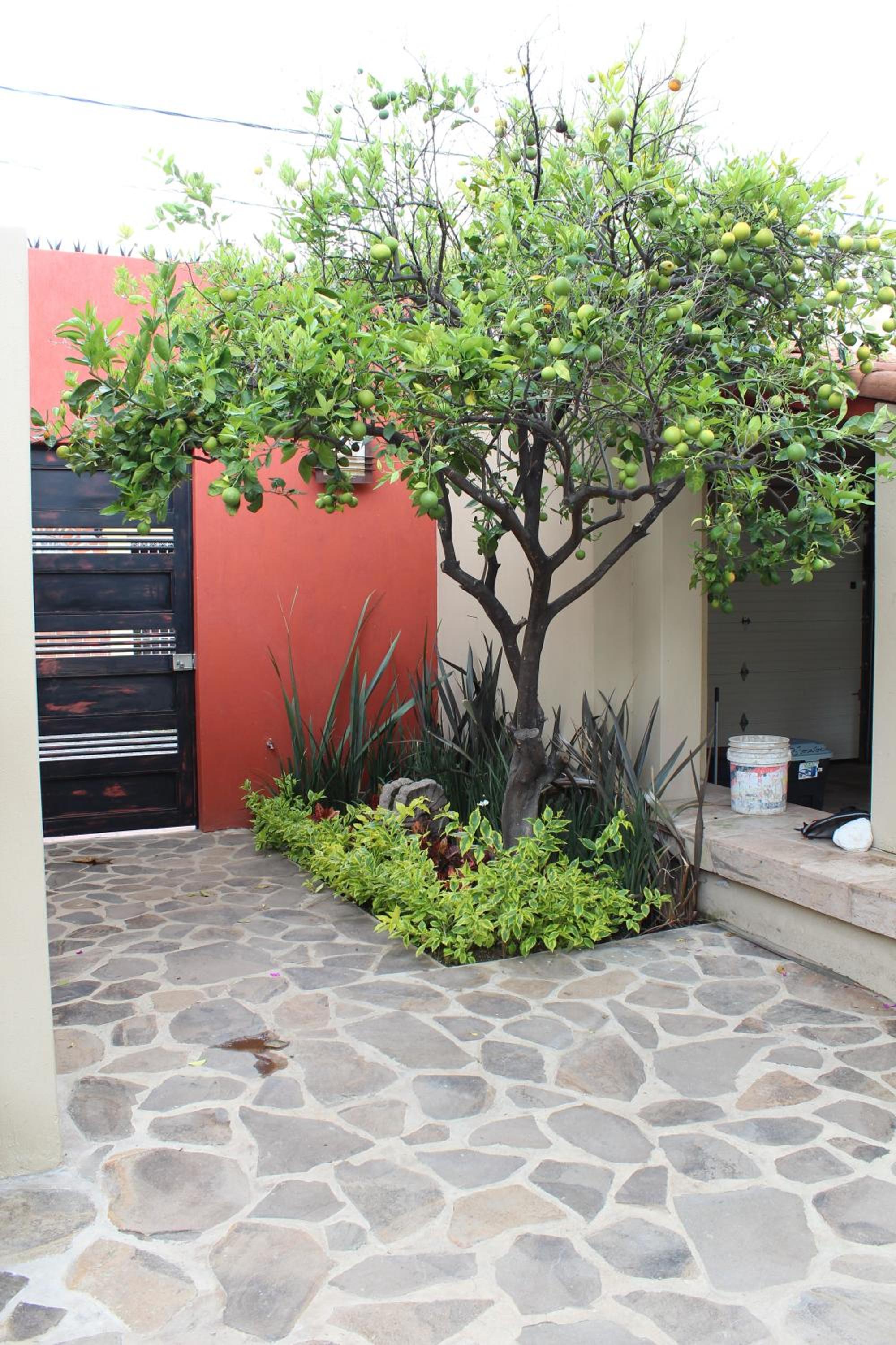 Photo 8
