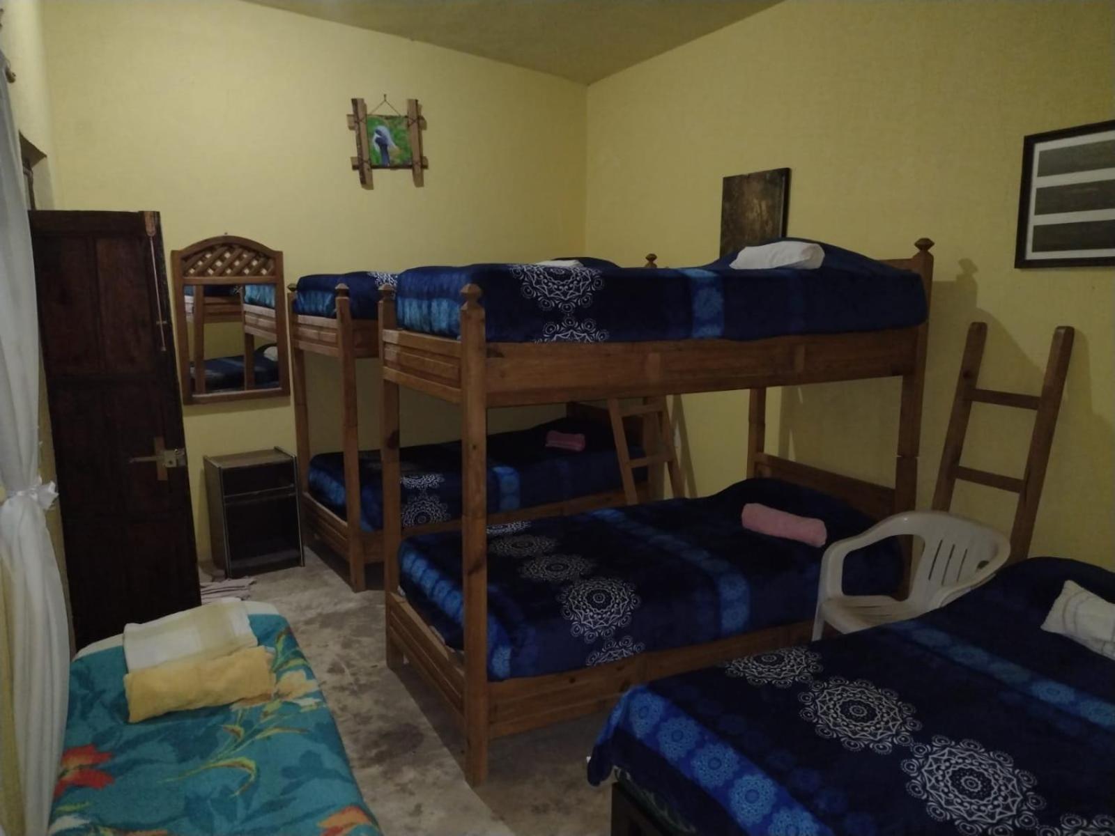 Photo 23