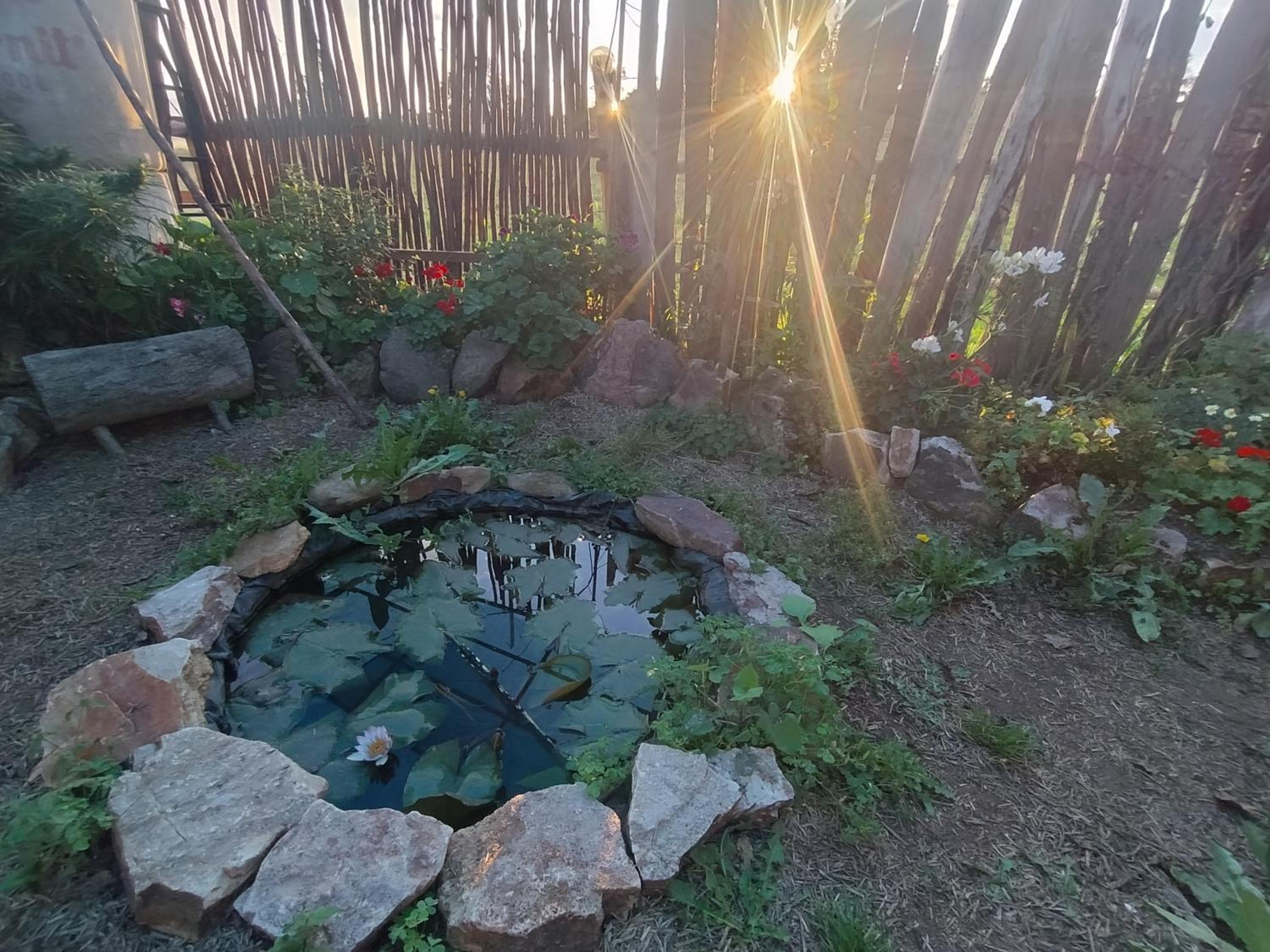 Finca La Aurora