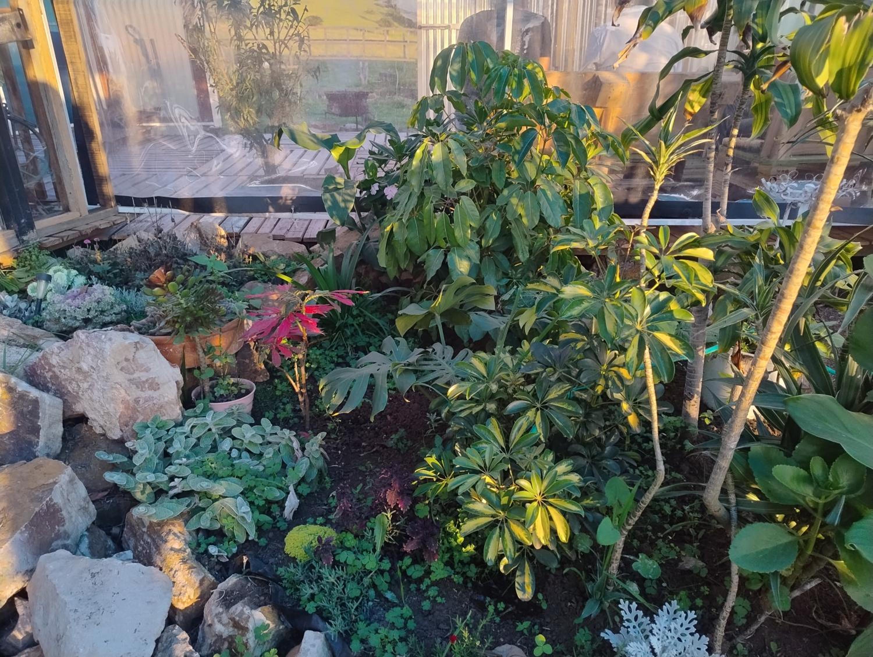 Finca La Aurora