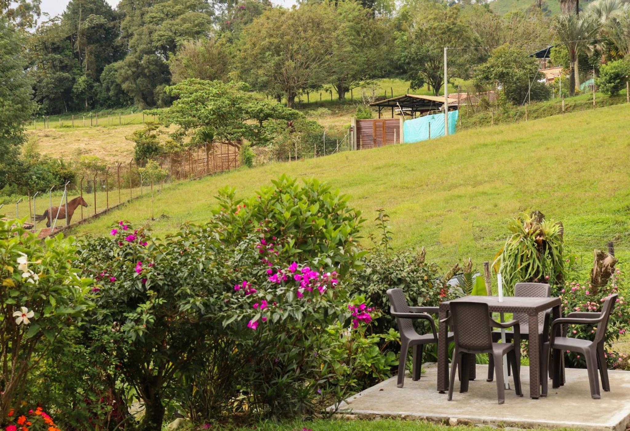 Casa rural o chalet
