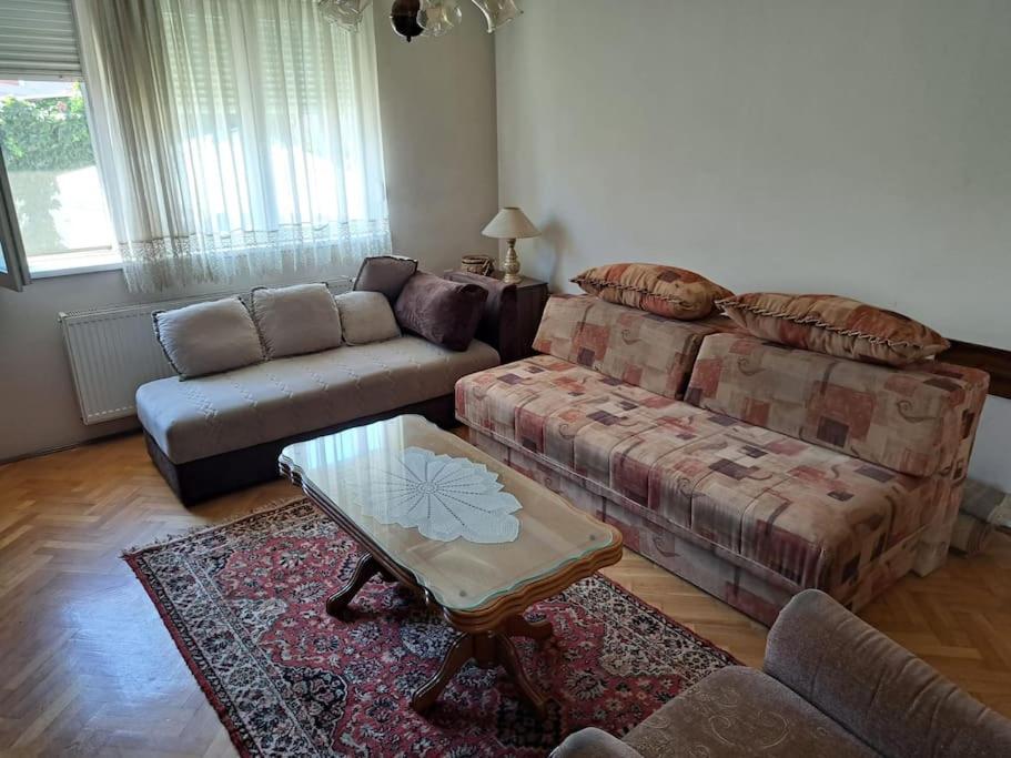 Apartman u centru Leskovca view 4