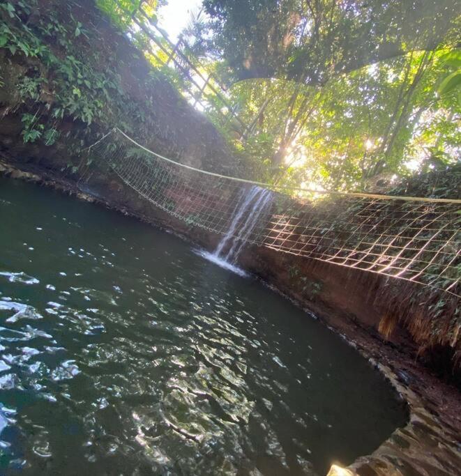 Paraíso Natural