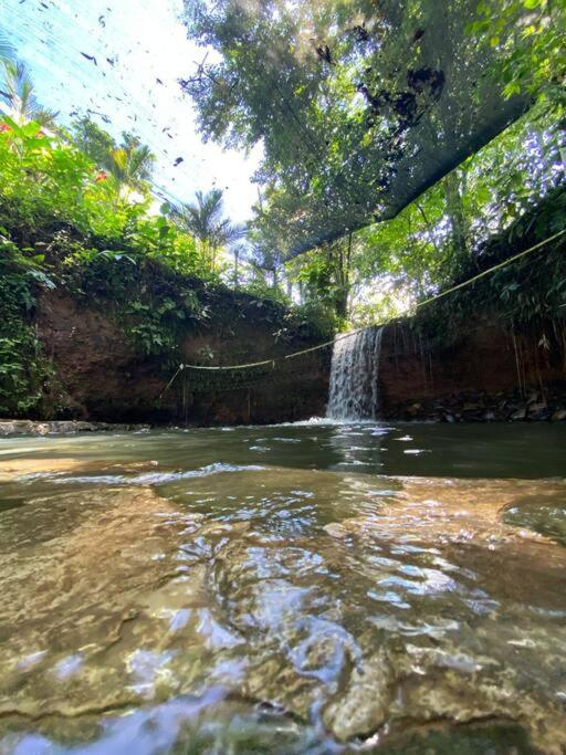 Paraíso Natural