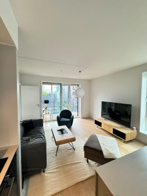 Central Luxurious Apartment Barcode Oslo