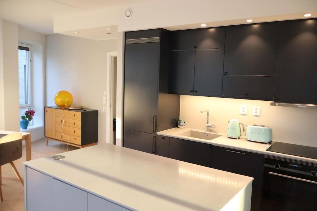 Central Luxurious Apartment Barcode Oslo