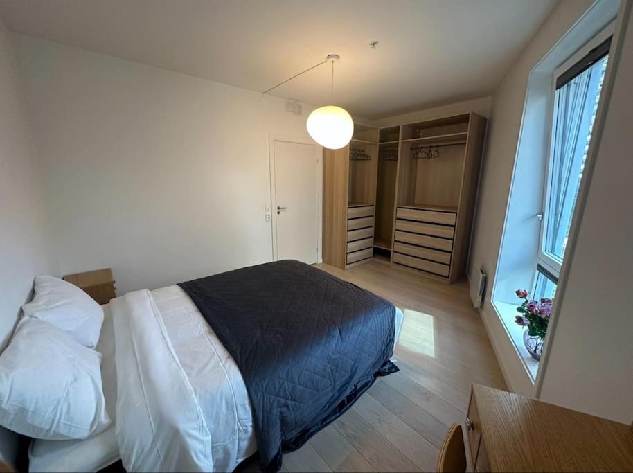 Central Luxurious Apartment Barcode Oslo