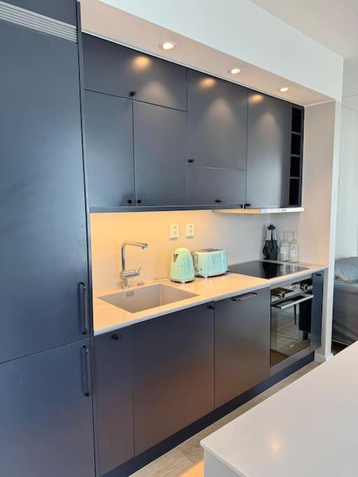 Central Luxurious Apartment Barcode Oslo