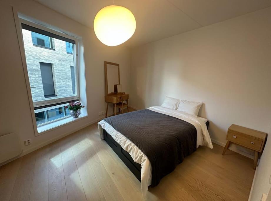 Central Luxurious Apartment Barcode Oslo