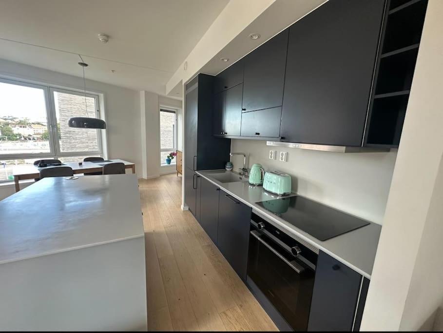 Central Luxurious Apartment Barcode Oslo