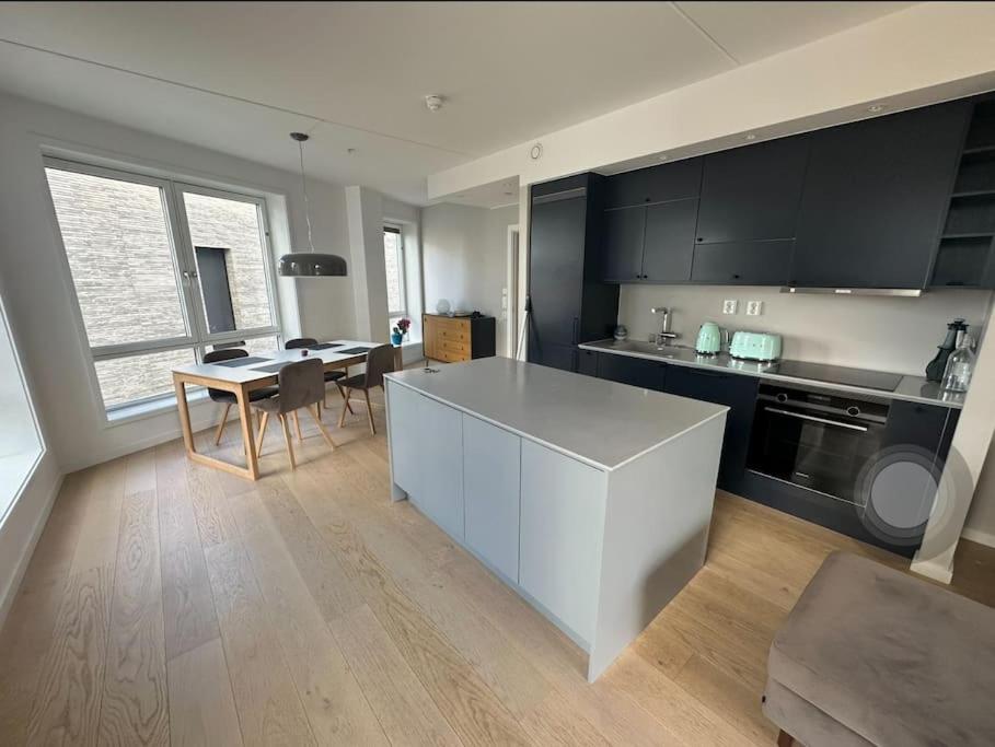 Central Luxurious Apartment Barcode Oslo