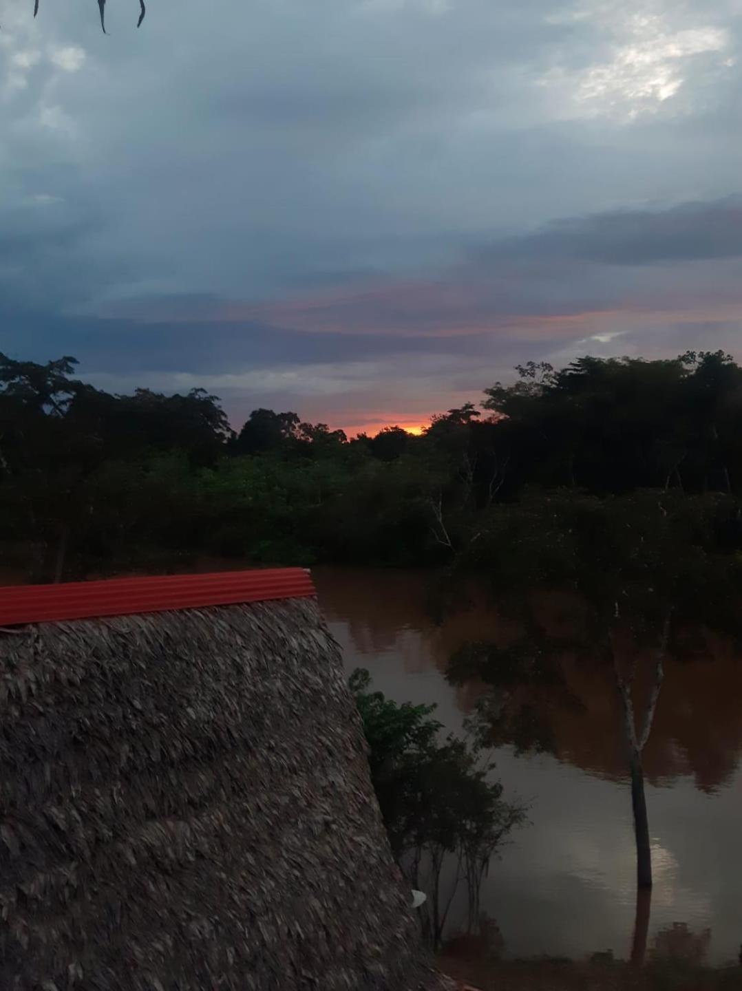 Marupa Expeditions Amazon Tours