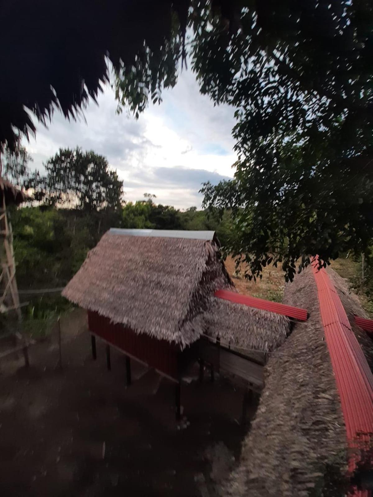 Marupa Expeditions Amazon Tours