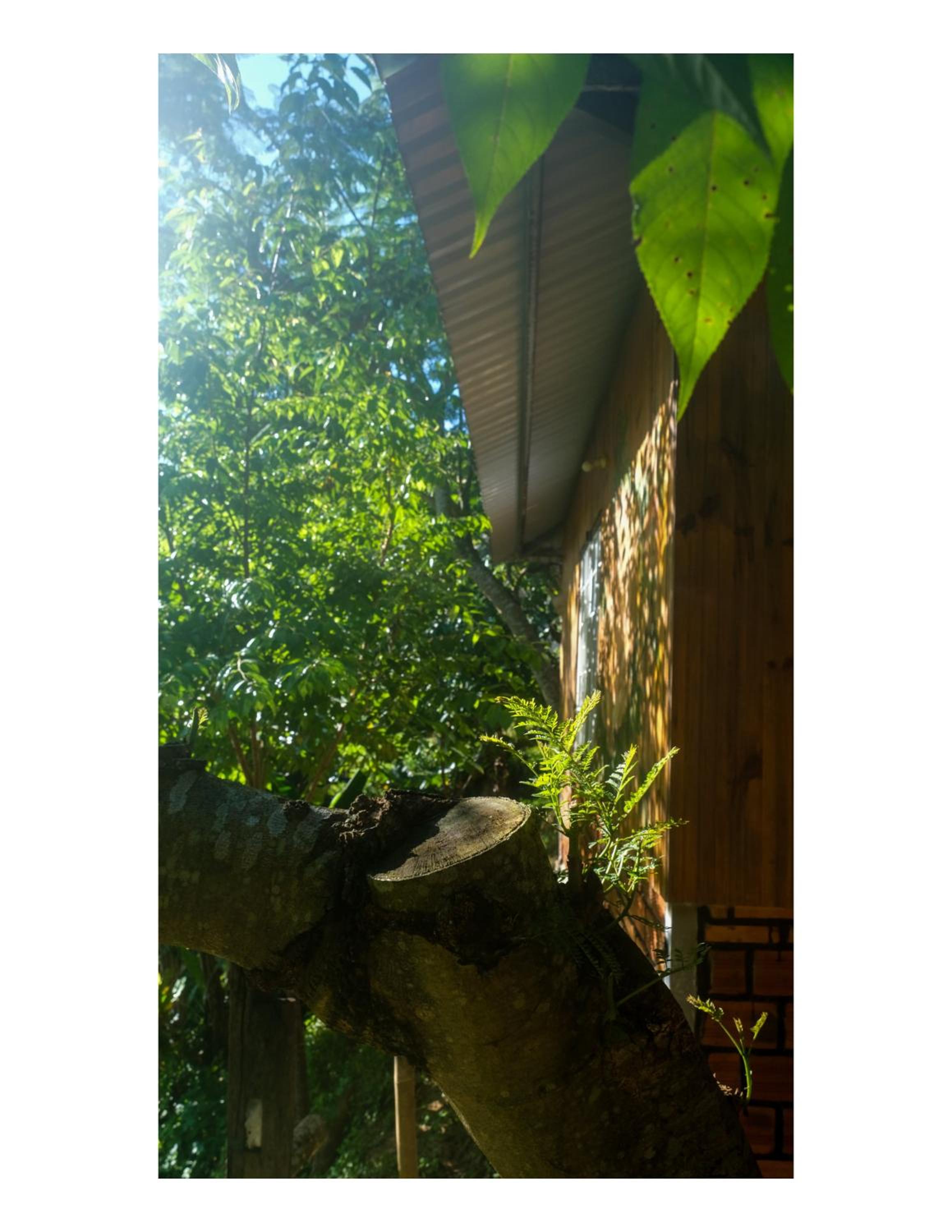 Nhà bên hồ - Đà Lạt Bunny Hill Homestay view 4