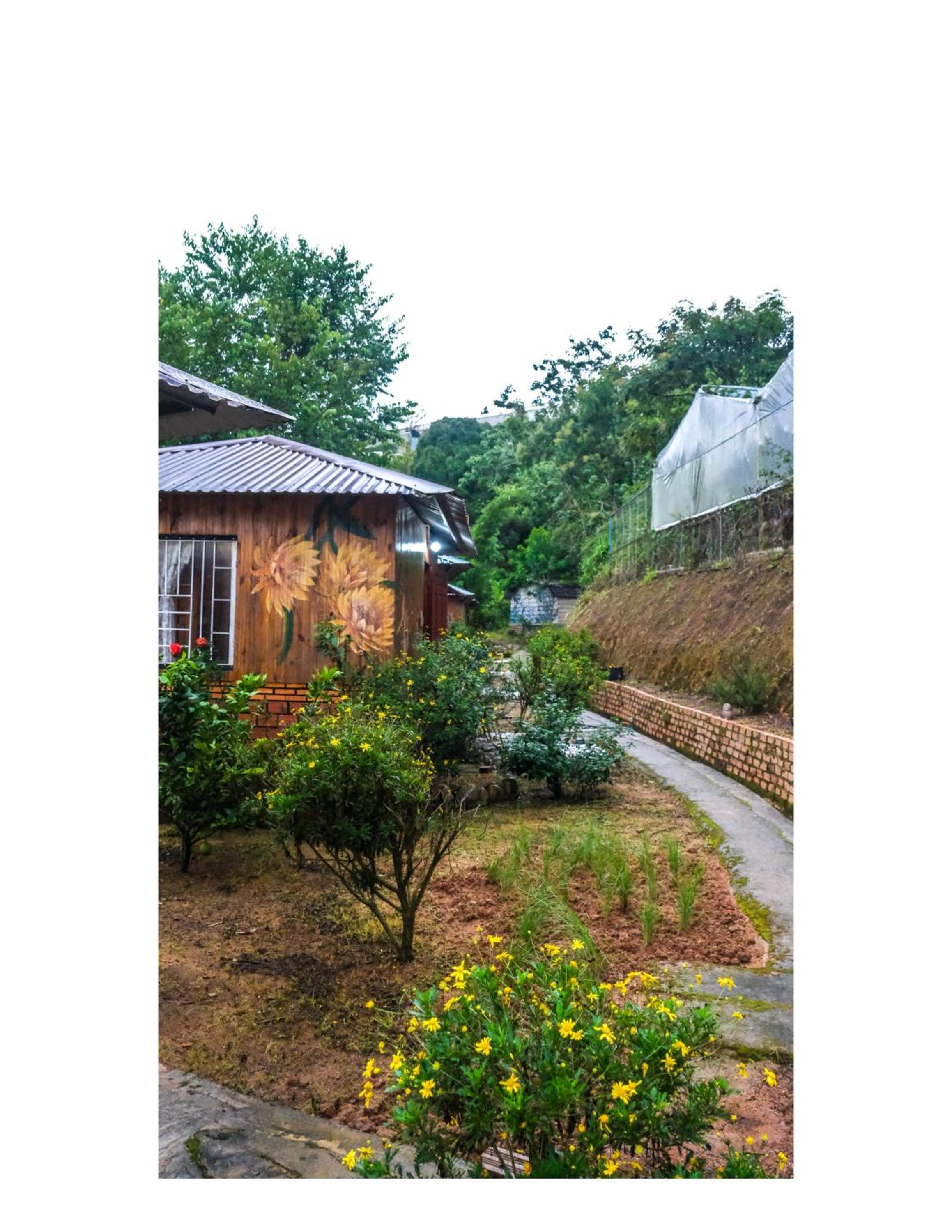 Nhà bên hồ - Đà Lạt Bunny Hill Homestay view 5