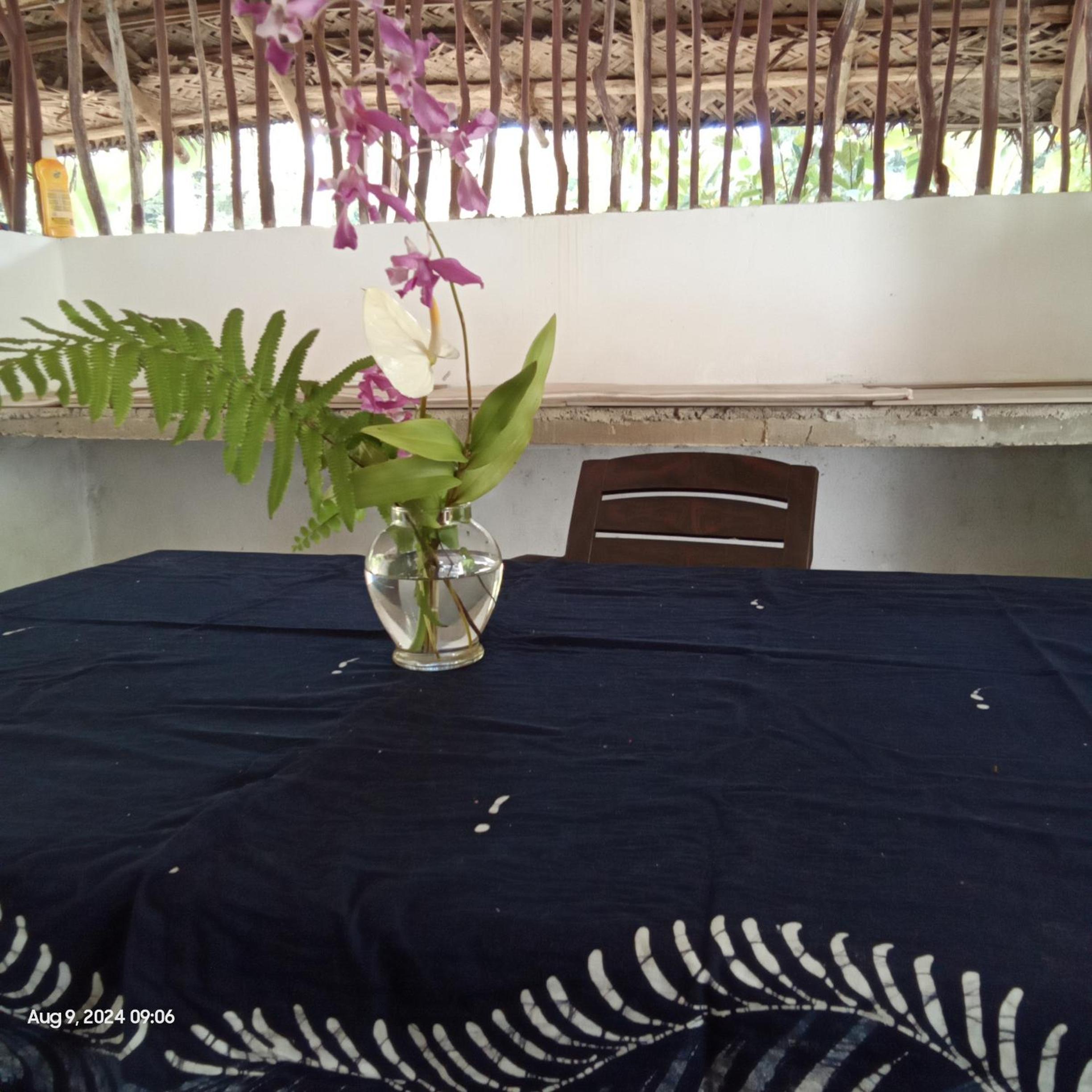 Dillenia canopy